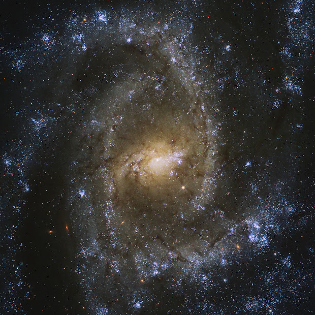 Barred Spiral Galaxy NGC 2835