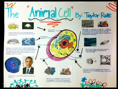 Pitotti's Panther Page: Cell Project Due Friday!