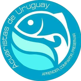 Grupo afriliado - ADU / Acuaristas de Uruguay