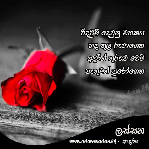 Sinhala love nisadas | Sinhala adara wadan | Sinhala love quotes