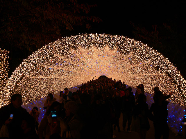 Amazing Winter Light Festival in Japan