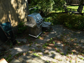 Toronto gardening services Bracondale Hill back yard cleanup before Paul Jung