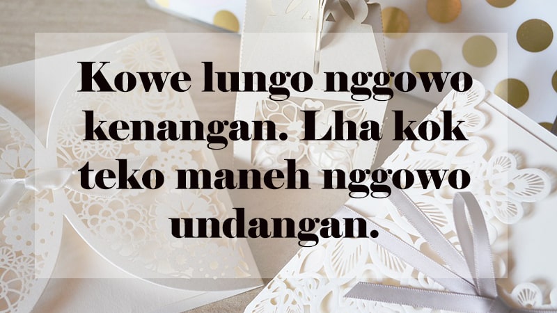 Pensil Nayla Status Bijak Cinta Bahasa Jawa Romantis Lucu