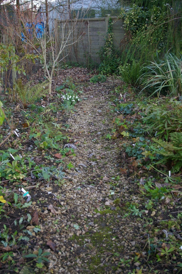 John Grimshaw's Garden Diary Cuttingback hellebores