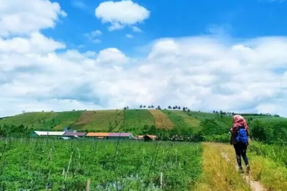 Eksotika 120 Objek Wisata Di Lampung Terbaru Yang Kece Dan ...