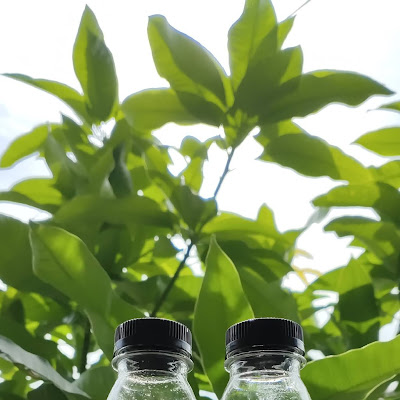 Madu Alam Apis Mellifera Murni MFA 100 Gram