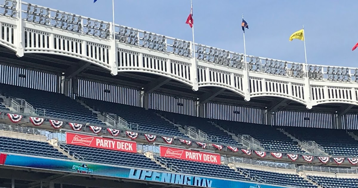 Brooklyn Digest Yankees MLB Draft Report Brooklyn Digest Yankees MLB Draft Report
