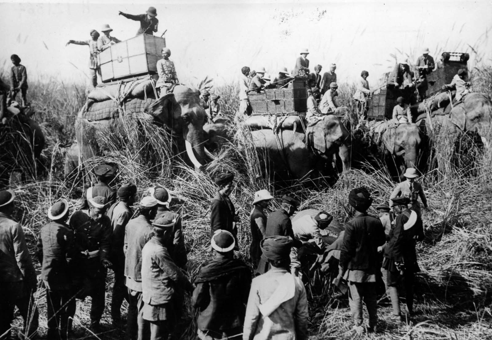 british royals india hunting trip 1911