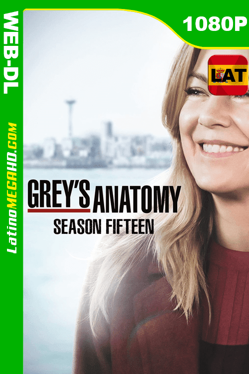 Anatomía según Grey (2013) Temporada 15 Latino HD WEB-DL 1080P (2005)