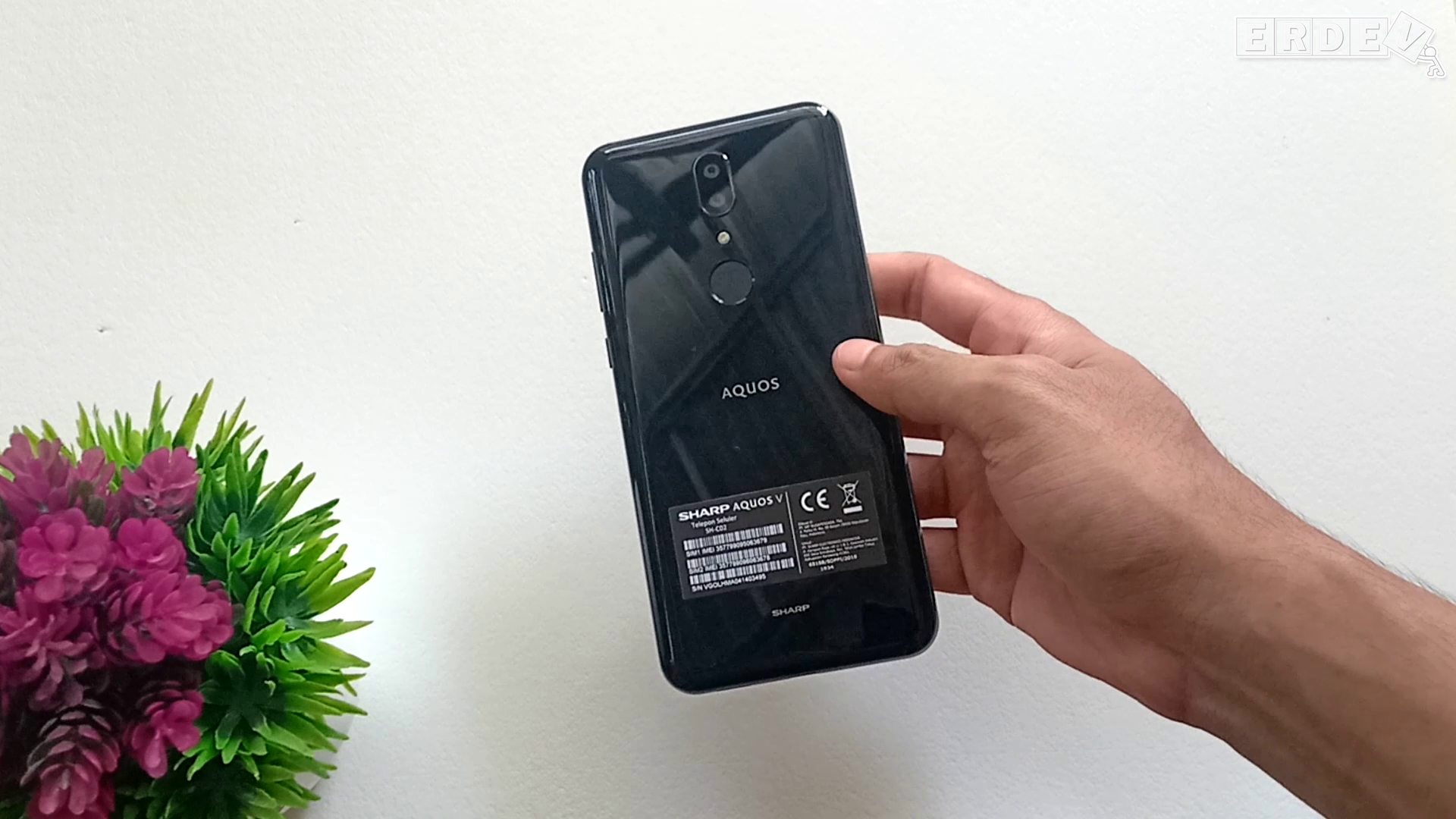 Review SHARP AQUOS V di Tahun 2021 Harganya Makin Turun, Sekarang