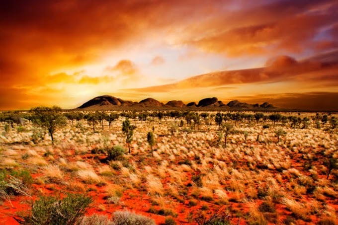 Top 10 Largest Deserts in the World (with Photos)