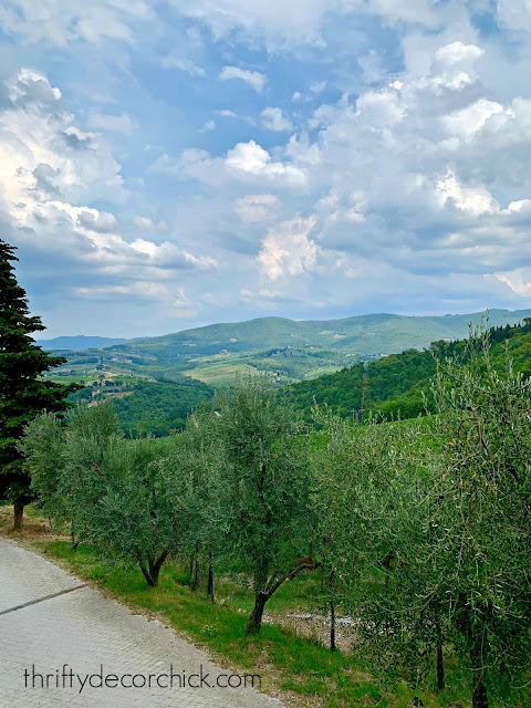 Tuscan views and vistas 