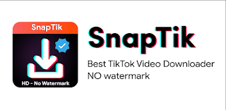 download video tik tok tanpa watermark menggunakan aplikasi snaptik