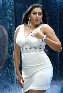 Namitha Hot Indian Actress, Tamil Hot Aunty Namitha Vankawala 4