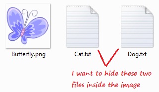The files and the image