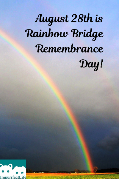 Rainbow Bridge Remembrance Day