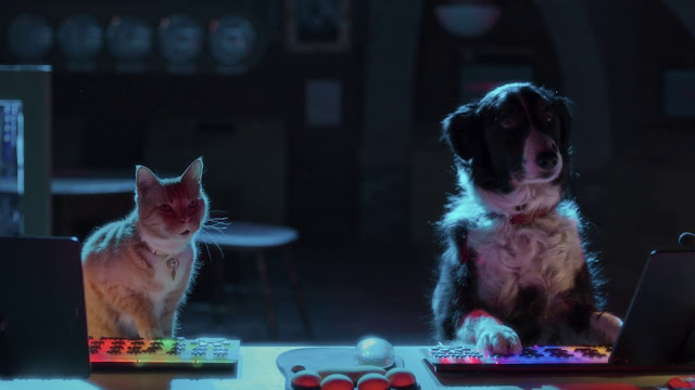 Como Perros y Gatos 3: ¡Todos a Una! 1080p latino