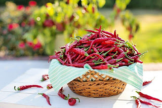 Why eating chili peppers could extend your life ?