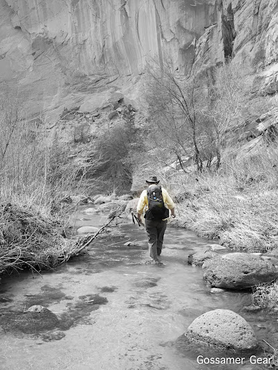 walking death hollow