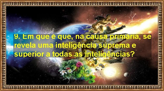 9. Em que é que, na causa primária, se revela uma inteligência suprema e superior a todas as inteligências?