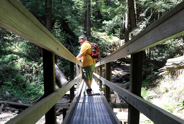Image of person on a walking bridge