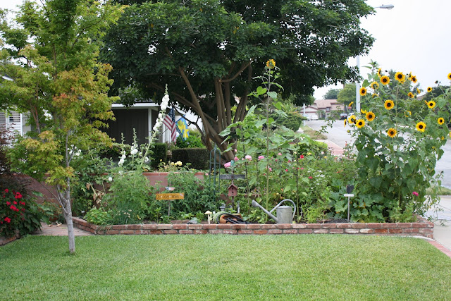 Sunny Simple Life: Can You Have a Vegetable Garden In Your Front Yard?