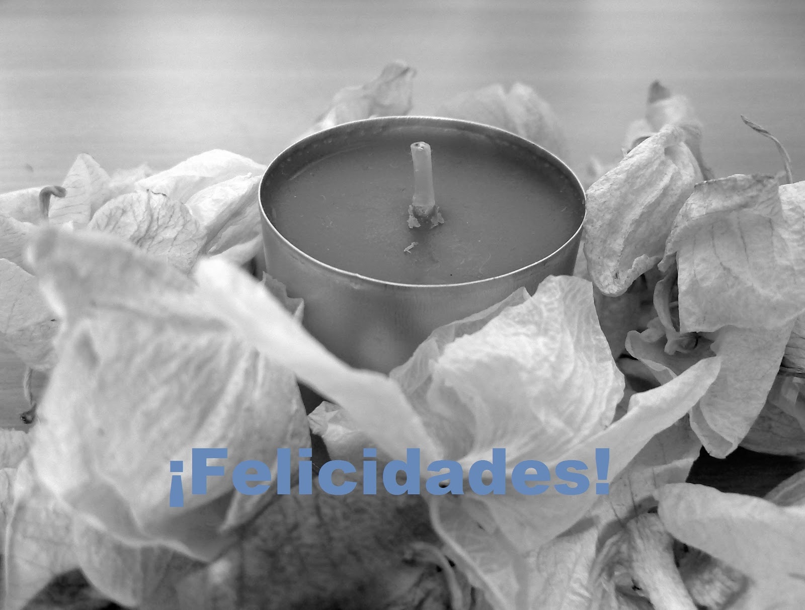 Mis recetas Bio pseudopaella de verduras y garbanzos.