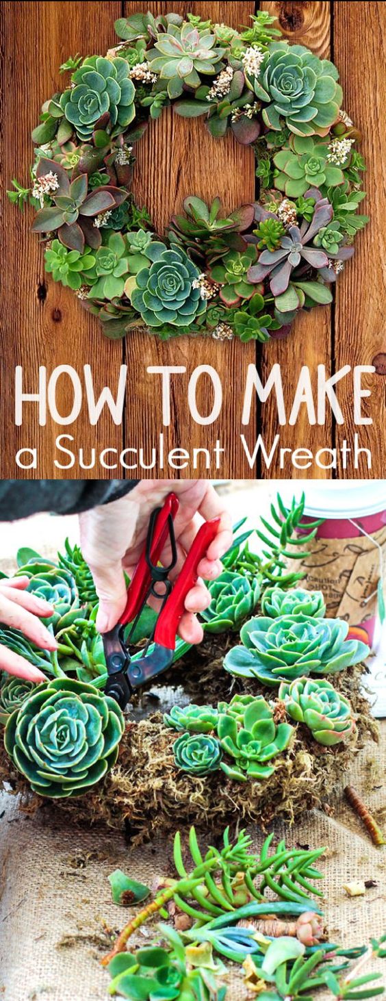 How To Make A Succulent Wreath