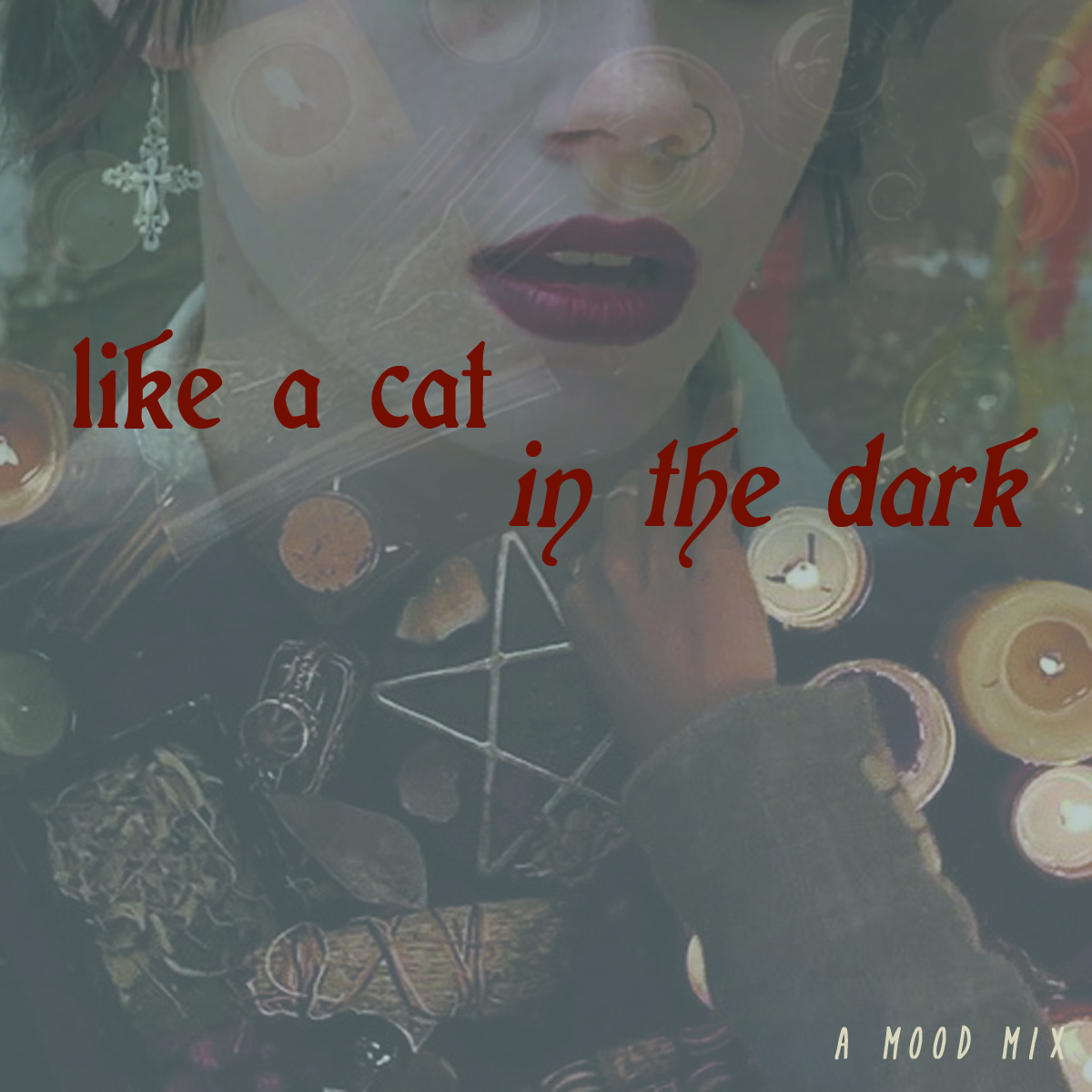 A Book And A Cup Of Coffee She Is Like A Cat In The Dark And