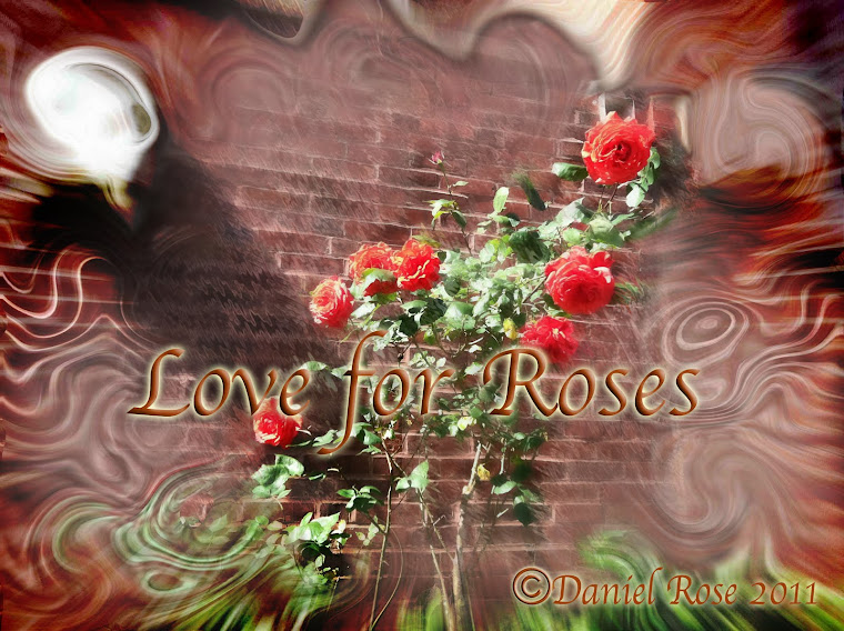 LOVE FOR ROSES