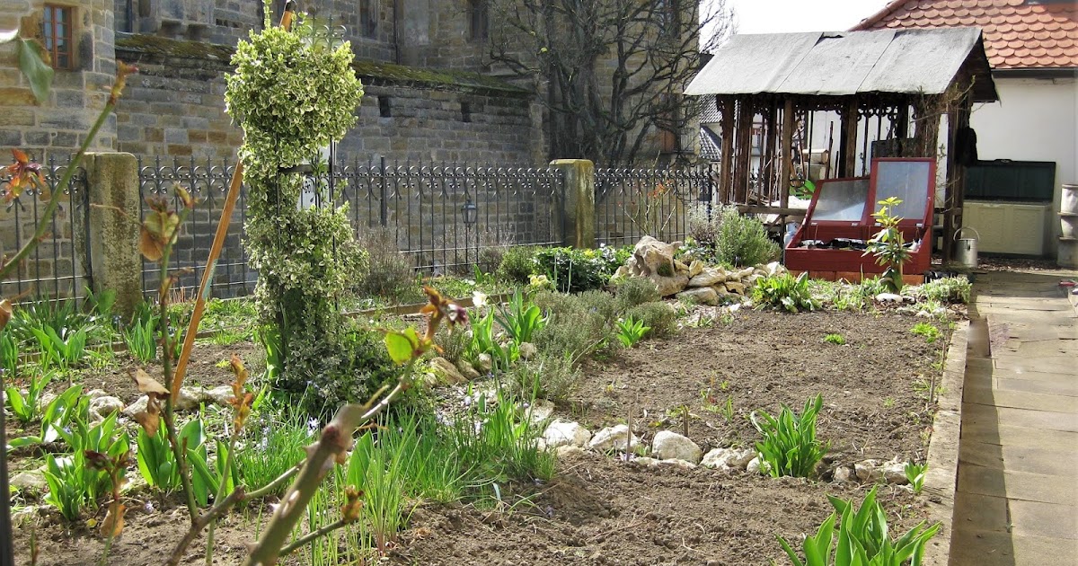 Winterharte Kakteen Ein Bluhender Oleander Verschiedene Krauter