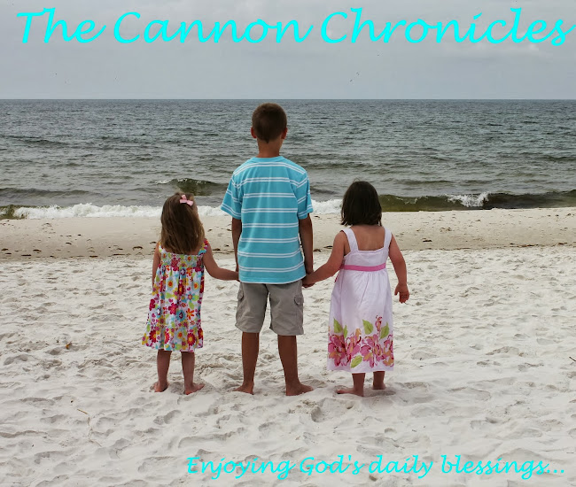 The Cannon Chronicles