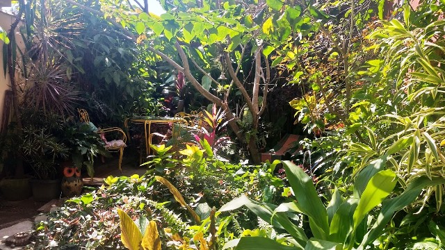 Paquetá, Rio de Janeiro. Mais cantinhos acolhedores da Hospedaria Santa Bárbara