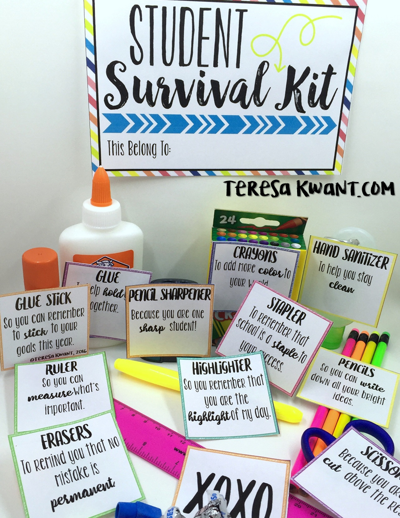 School Teacher Survival Kit