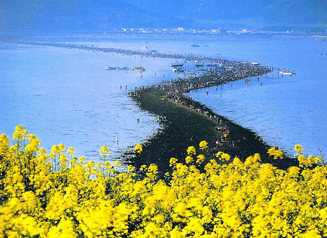 The sea road connecting Jindo and Modo islands (South Korea).
