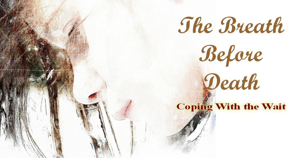 Laurel A. Ness The Breath Before Death How to Cope With the Wait