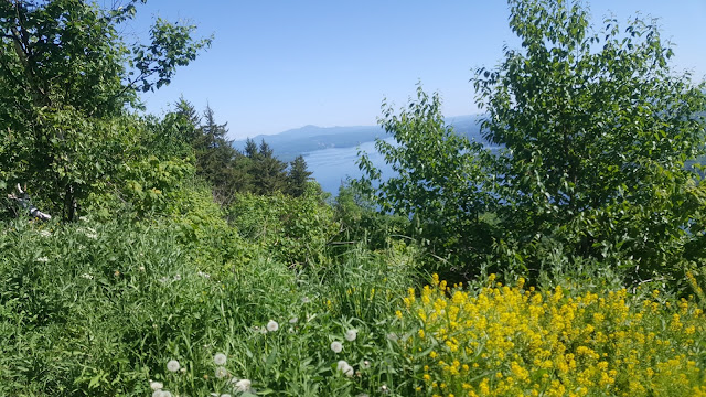 Point de vue à partir du sentier en direction du sommet du mont Owls Head