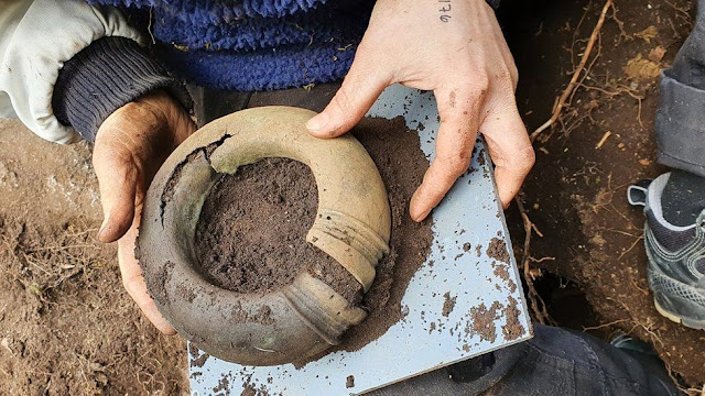 Swedish orienteering enthusiast finds Bronze Age treasure trove