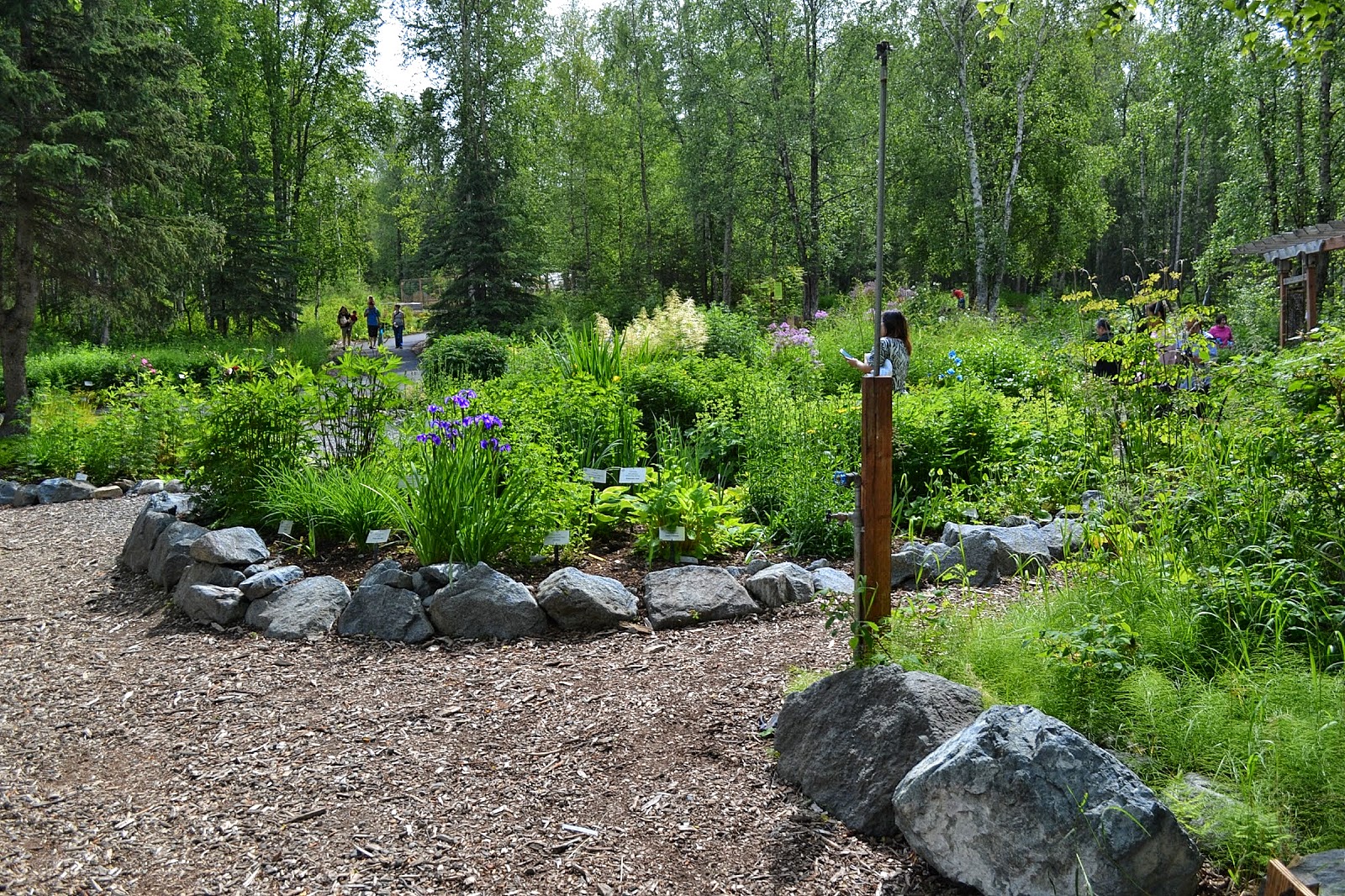 The Outlaw Gardener The Alaska Botanical Garden Part Three