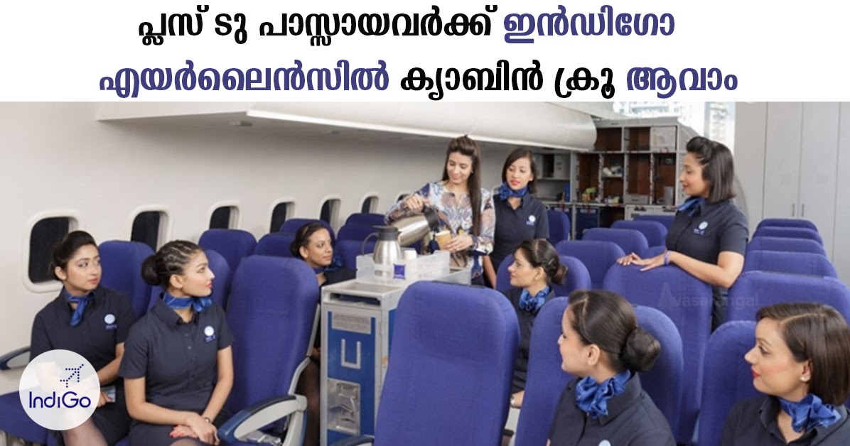 Cabin Crew Vacancy In Indigo Airline Avasarangal