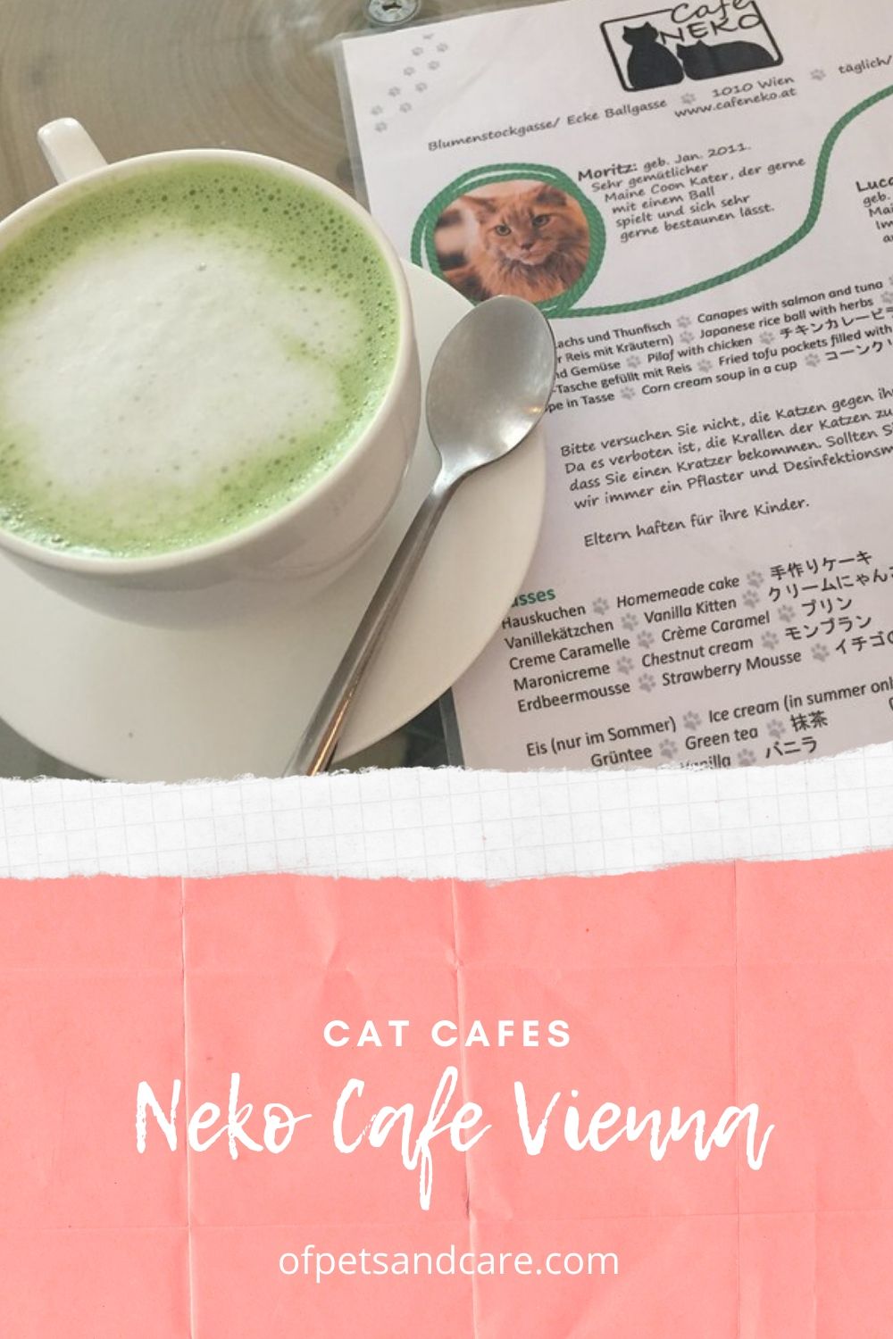 Vienna's Neko Cafe
