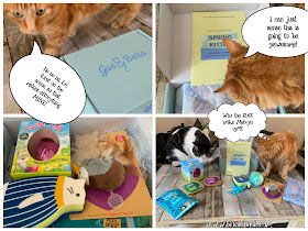 What's In The Box ©BionicBasil® Gus & Bella Spring Kitten Box