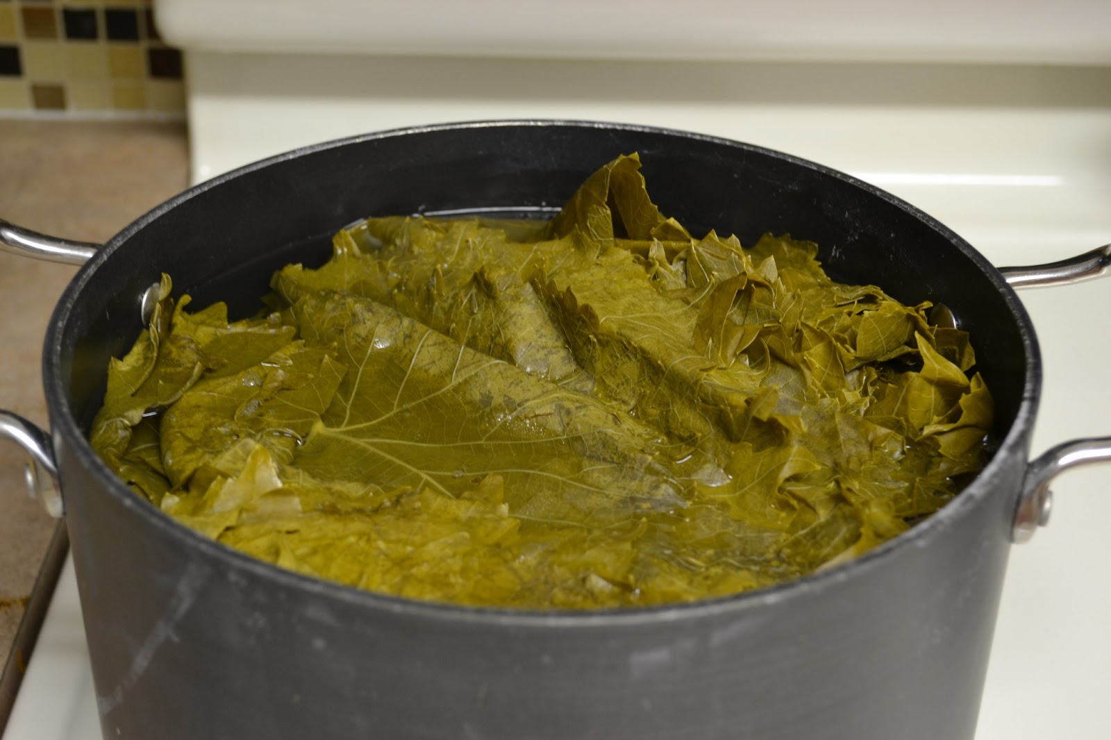 Vegans Have Superpowers Stuffed Vine Leaves