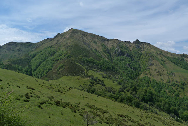 Collada Traslafuente y Pico Maoñu - Piloña y Parque Natural de Ponga Collada Traslafuente y Pico Maoñu - Piloña y Parque Natural de Ponga