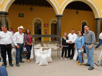 Se benefician 104 familias con el programa El Campo en Nuestras  Manos.