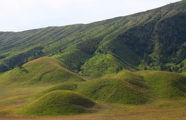 Bukit Teletubbies Merak: Pesona Alam Banten yang Memikat Hati