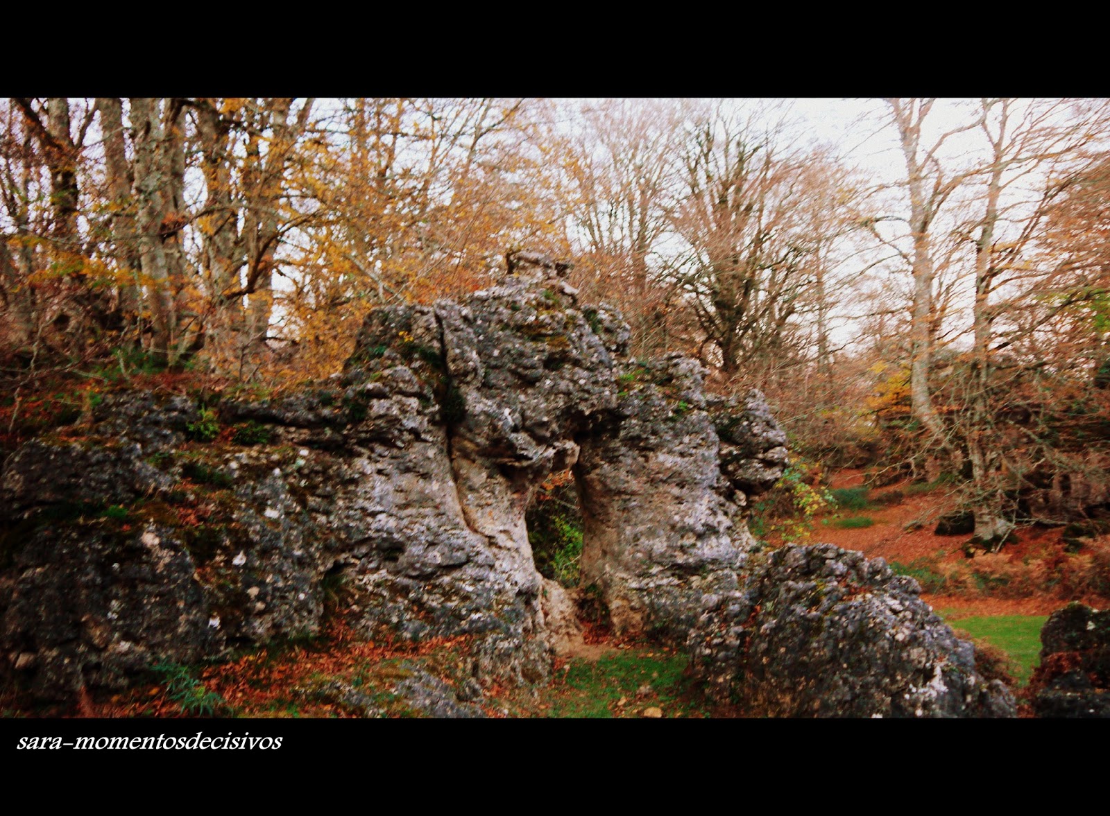 MOMENTOS DECISIVOS BOSQUE ENCANTADO DE ARTEA EN LARRAONA