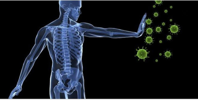 أعشاب تقوي المناعة