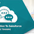 Learn Salesforce Online Training  At Your Home With Live projects Training