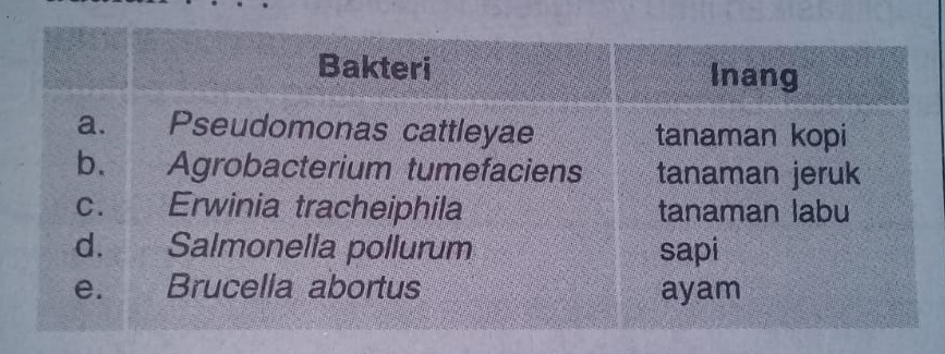 Biologi X - Bakteri - Penilaian Harian